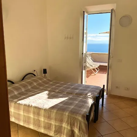 Gli Ulivi Della Monda