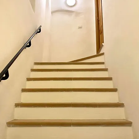 Gli Ulivi Della Monda