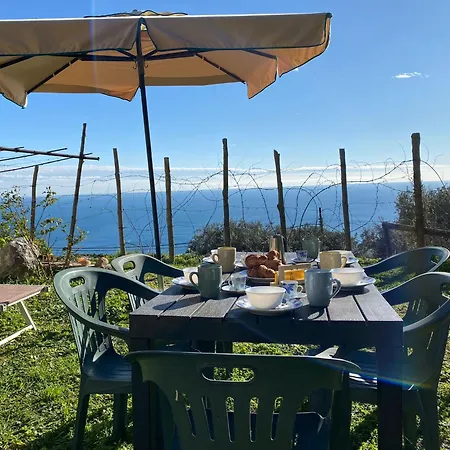 Casa vacanze Gli Ulivi Della Monda