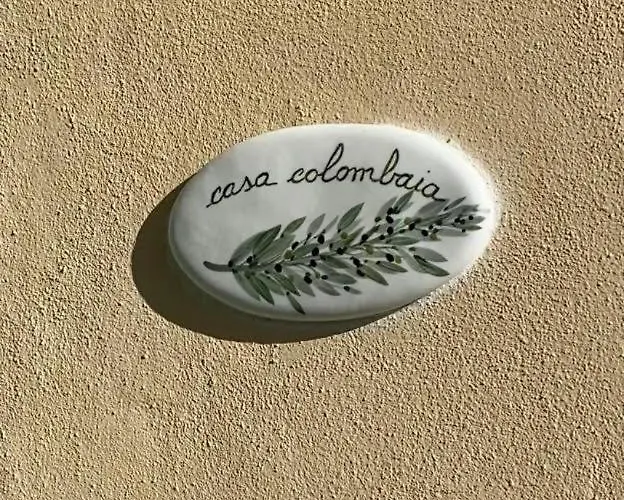 Gli Ulivi Della Monda *