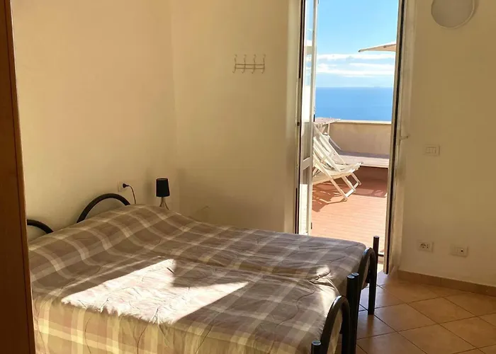 Gli Ulivi Della Monda